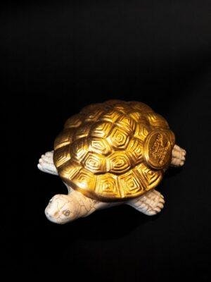 71131BO Միջին կրիա 17սմ