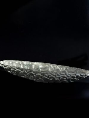CNT3904-678 Օվալ մրգաման 48×13սմ CANOA SILVER
